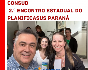 0612-encontro-planificasus-2.png