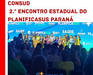 0612-encontro-planificasus-3.png