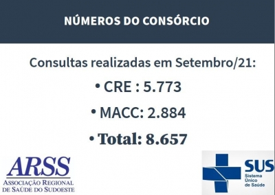 Consultas Disponibilizadas e Número de  Faltantes Mes Setembro 2019